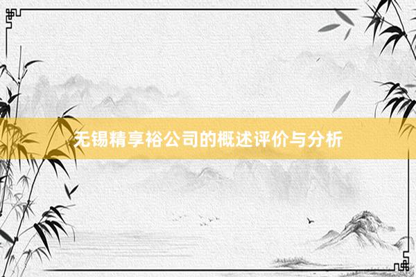无锡精享裕公司的概述评价与分析