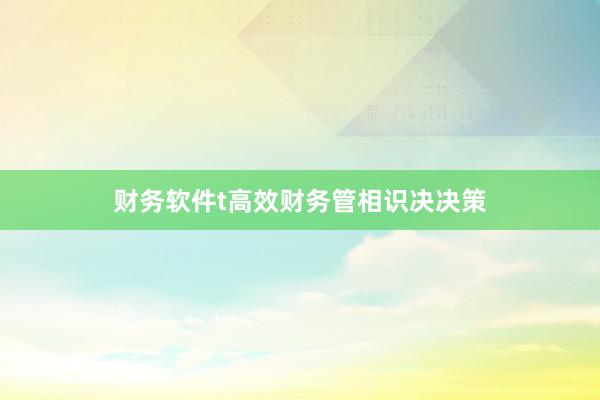 财务软件t高效财务管相识决决策